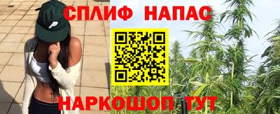 мяу мяу мука Тара