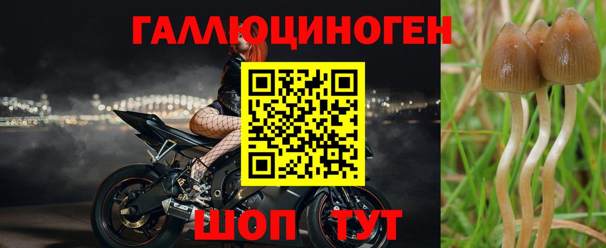 Галлюциногенные грибы ЛСД  Вход с VPN  Нижний Тагил 